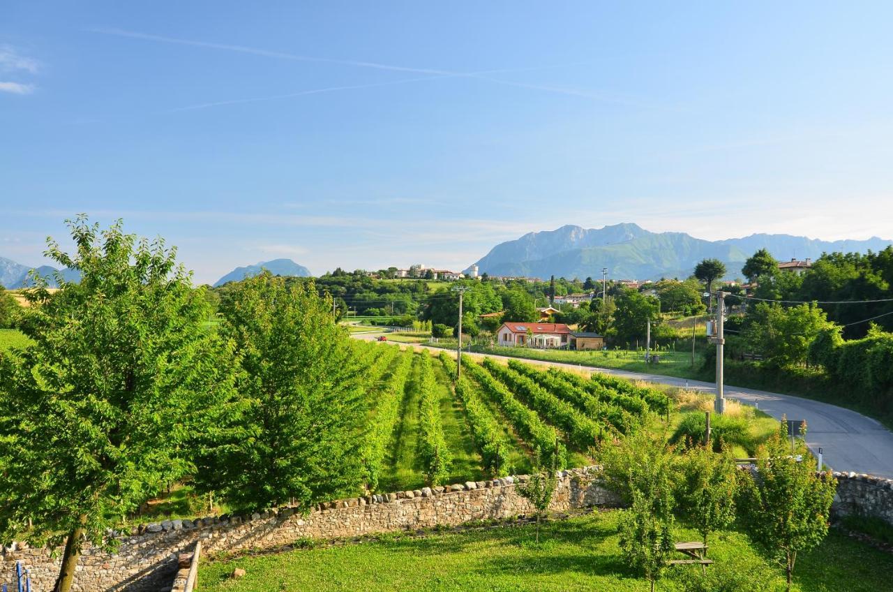 Agriturismo Borgo Floreani Vendoglio Ngoại thất bức ảnh